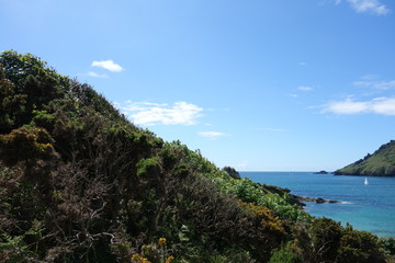 Obraz premium Coastal Walk