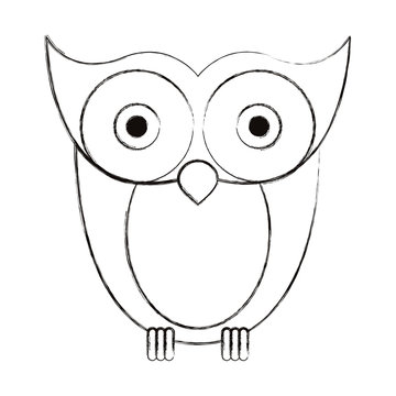 sketch blurred silhouette image owl bird vector illustration