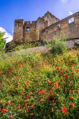 View at the castle of Convent of Christ in Tomar ,Portugal