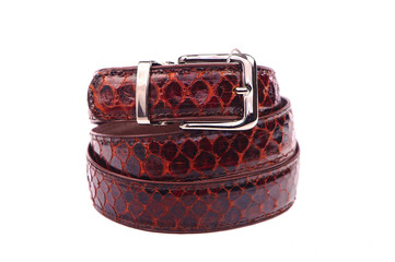 Belt male leather.The fashionable accessory is twisted on a white background.With a metal buckle.Natural animal skin.