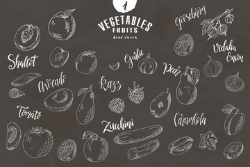 Doodle elements of fruit and vegetable. Hand drawn shetches. Vector illustration of healthy food