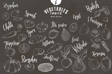 Hand drawn vegetables and fruits. Vector fresh collection of natural food. Sketch illustration