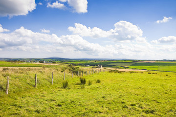 Typical Irish flat landscape with fields of grass and wooden fence  for grazing animals (Ireland)