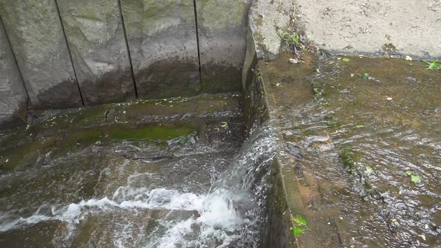 Slowmotion stream water in the park. 240fps slow motion
