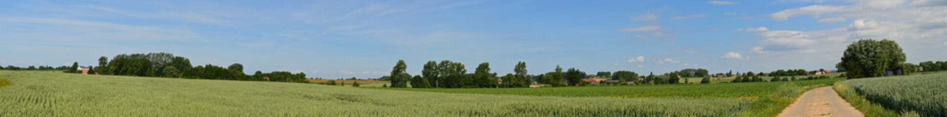 Paysage de campagne