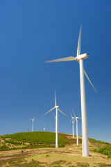 Fototapeta premium Wind energy