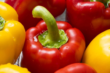 Fresh sweet yellow and red  peppers