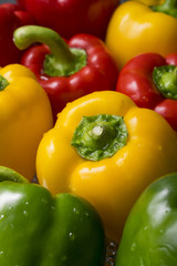 Fresh sweet yellow, green and red  peppers