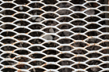 Detail of an old, rusted iron ornament lying on the ground