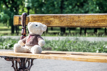 Big white teddy bear toy sitting on the wood bench and waiting in the park. Good Idea for greeting or gift card design