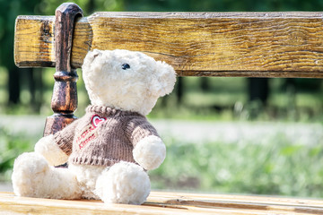 Big white teddy bear toy sitting on the wood bench and waiting in the park. Good Idea for greeting or gift card design
