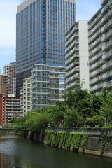 Fototapeta premium 目黒川沿いのマンション群