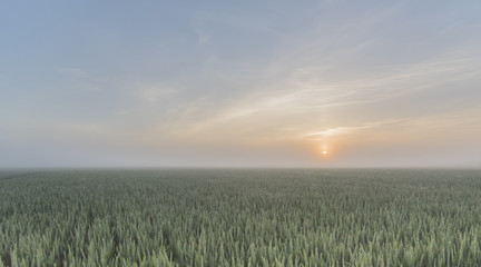 Fototapeta premium sunrise in the countryside