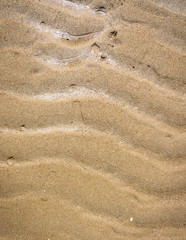 Fototapeta na wymiar Natural wave pattern in sand on a beach texture.