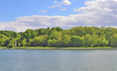 The opposite shore of a pond in a city park