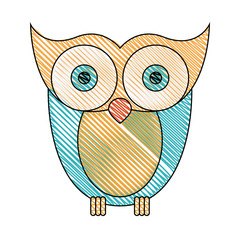 color crayon stripe image of owl bird vector illustration