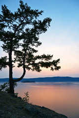 Fototapeta na wymiar Summer evening landscape with a larch tree on the coast of Lake Baikal. Silhouette of a beautiful tree with a bifurcated trunk on the shore of the island of Olkhon