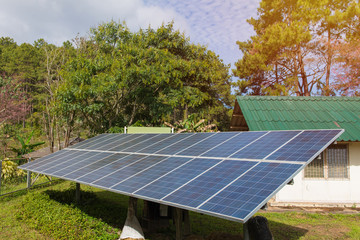 photovoltaic using renewable solar energy in forest
