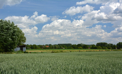 Paysage de campagne