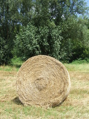Strohballen auf der Wiese