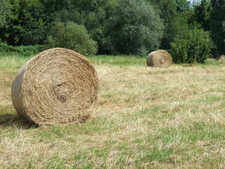 Strohballen auf der Wiese