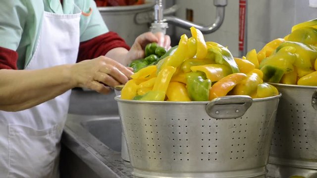Capsicum فليفلة 고추류 פלפלת Капсикум Paprika &Pi;&iota;&pi;&epsilon;&rho;&iota;ά Video Տաքդեղ Peperone &Pi;&iota;&pi;&epsilon;&rho;&iota;ά Peppers Chi Ớt Peperoni Papryka Peperonata Paprikat 辣椒属 Biber Piment&atilde;o शिमला मिर्च 