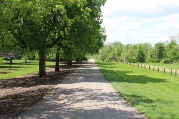 The long sidewalk walkway in the park.