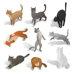 Set of isometric cats in different poses, walking, seating, jumping, sleeping. Realistic cartoon style. Collection of domestic animals in isometric. Isolated vector illustration art.