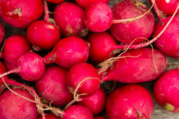 Fresh healthy red raddisch closeup