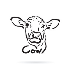 Vector of hand drawn cow on white background. Farm Animal.