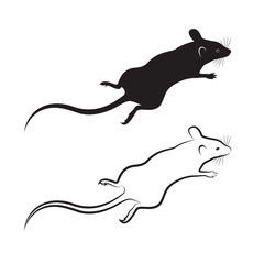 Vector of a rat design on white background. Mammal Animal.