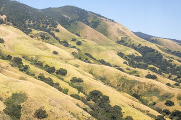 Central Valley, near Solidad, California, seen from the Coast Starlight train