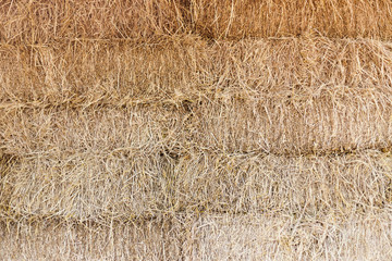 Straw texture background