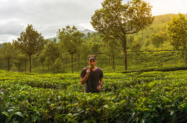 Man walks through tea plantations in the mountains
