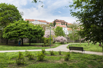 Spring park with blooming trees and benches. Zagreb, Croatia