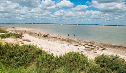 The Essex Coast near Bradwell on Sea