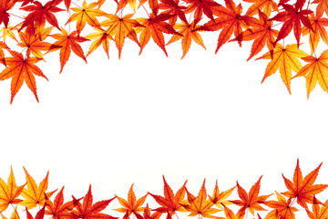紅葉のフレーム