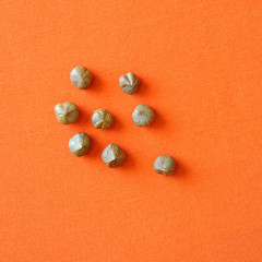 Peeled hazelnuts on orange background, square