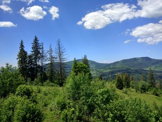 Background of Carpathian mountains landscape in Ukraine