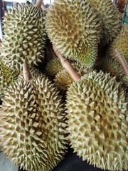 Naklejka na ściany i meble Durian fruit thai