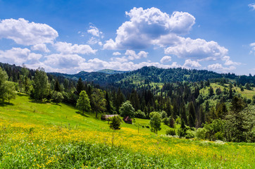 Obraz premium Background of Carpathian mountains landscape in Ukraine