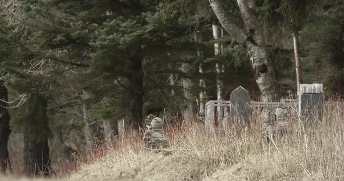 abandoned cemetery getting overgrown by nature in Alaska