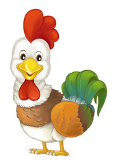 Obraz na płótnie Canvas Cartoon happy farm animal - cheerful rooster is standing smiling and looking - artistic style - isolated - illustration for children