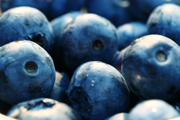 fresh berries blueberries close-up scattered