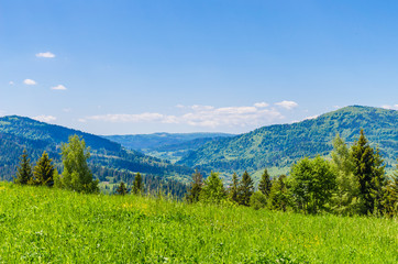 
Background of Carpathian mountains landscape in Ukraine