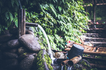 Mountain spring in the tropics of Bali island, Indonesia.