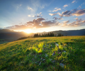 Sunset in the mountain valley. Beautiful natural landscape in the summer time