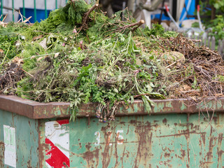 Container Gartenabfälle