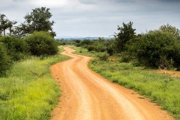 Fototapeta na wymiar This is Africa - long and winding road