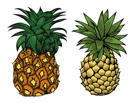 Cartoon pineapple fruit